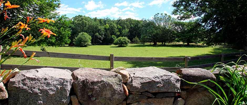 Open Paddock at Huckins Farm, Bedford, MA